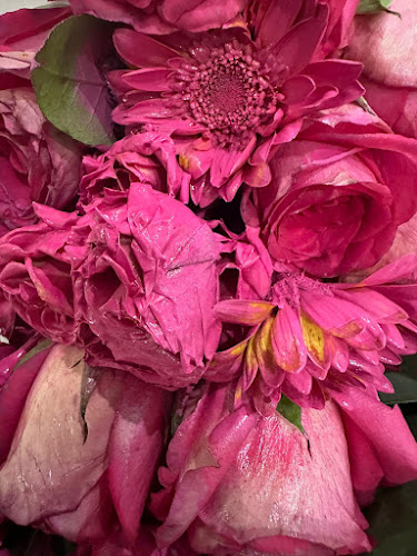 Opinii despre ريحانة للزهور în المدينة المنورة - الضيافة