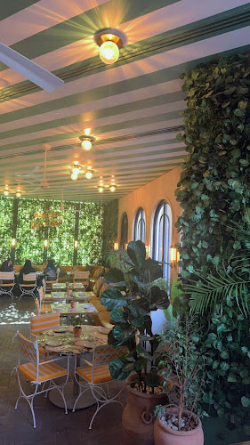 Comentarii opinii despre دلفينو