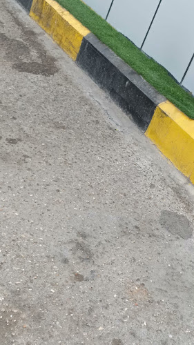 Great cup ٢ الكوب الرائع