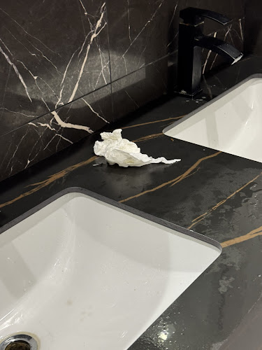 أسماك المينا جده - الضيافة