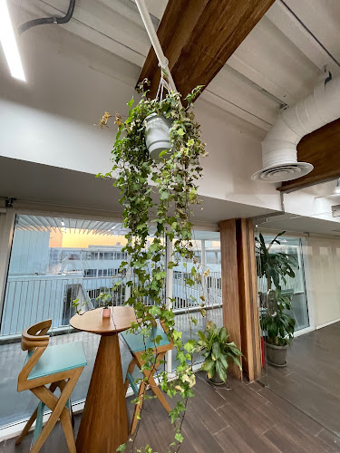 عيش أكاديمي