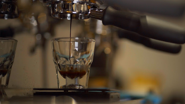 إكولايزر قهوة مختصة