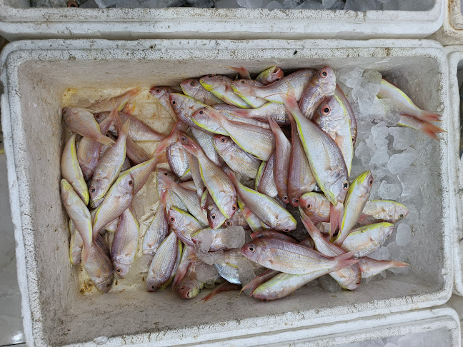 Opinii despre RED SEA FRESH FISH RESTAURANT BISHA مطعم البحر الاحمر în بيشة - الضيافة