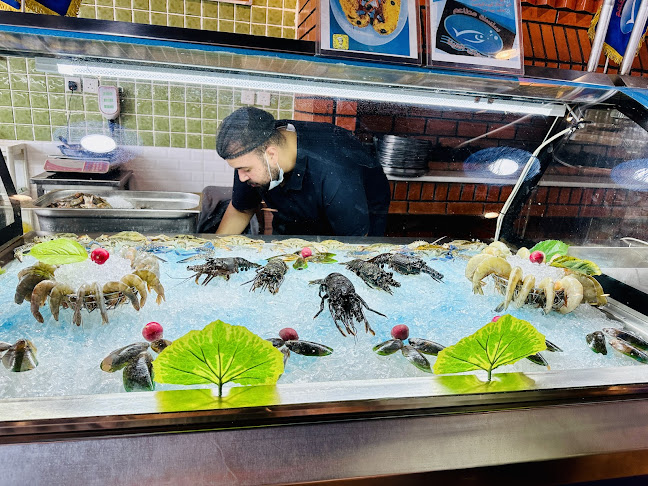 أسماك المينا جده