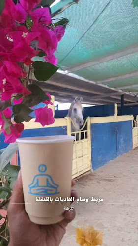 الخط السريع، القنفذة 28822