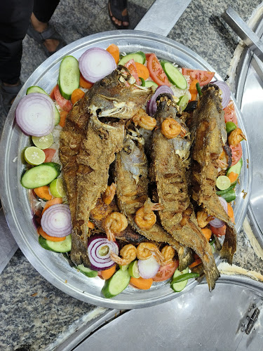 بيت البركة للأسماك