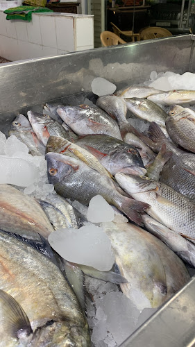 اسماك باب البحر - أبها