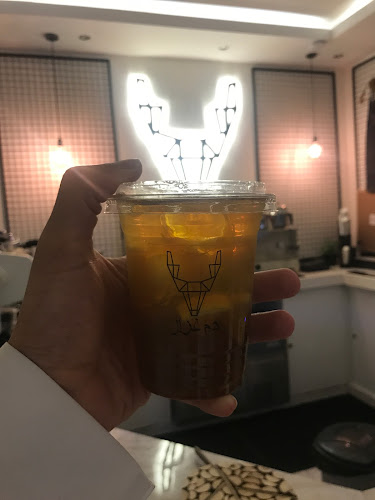 دم غزال - الضيافة