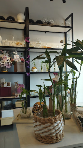 Comentarii opinii despre روح ورد