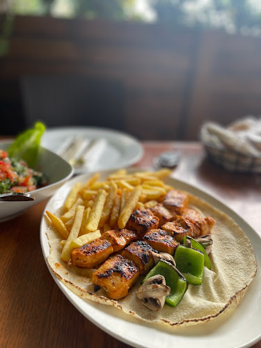 Comentarii opinii despre يوميات