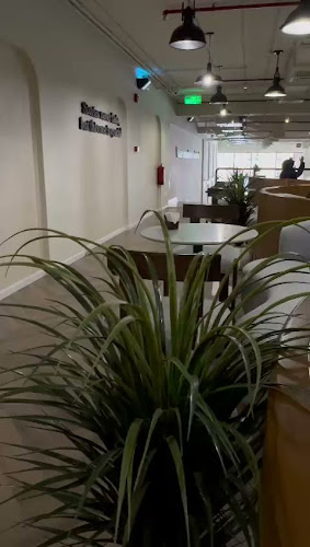 كافية و بيكري ايليون - الضيافة