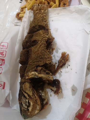 6231 طريق الهجرة الفرعي، الظاهرة، 4474 Makkah Jeddah Express Branch Rd, المدينة المنورة 42315