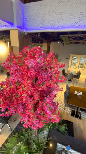 مطعم كينارا الهندي - الضيافة