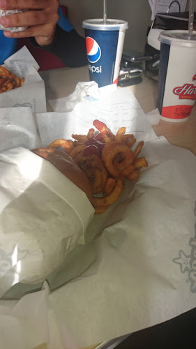 Comentarii opinii despre Hardee's