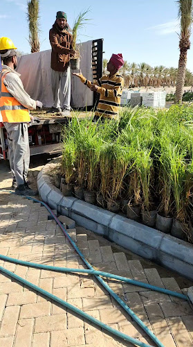 مطعم نكهة مصرية - Nakha Masria