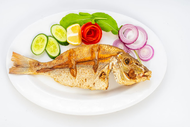 اسماك البحر