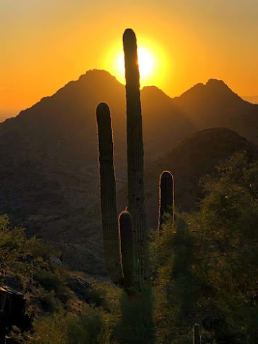 Opinii despre مقهى النافورة.. în القريات - الضيافة