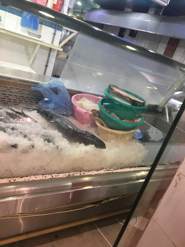 أسماك البحر الأحمر - الباحة