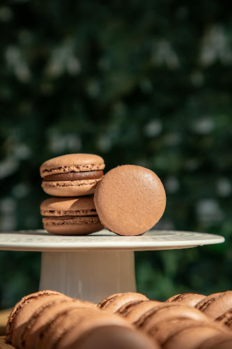 Amer Ibn Thabet, الربوة، جدة 22413