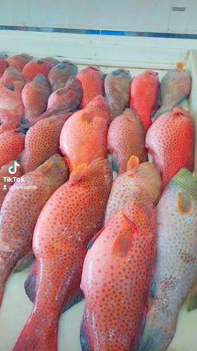 27F8+2MJ، طرق الملك خالد، الصيادلة، املج 48321