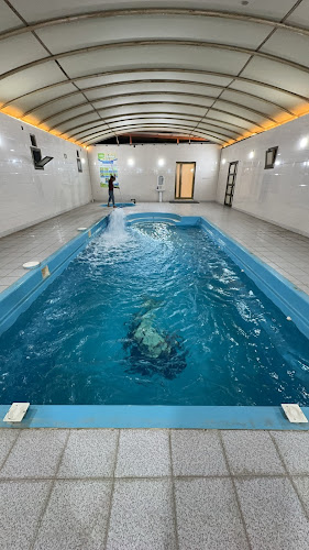 منتجع و مشويات أبومصطفى - القطيف‎