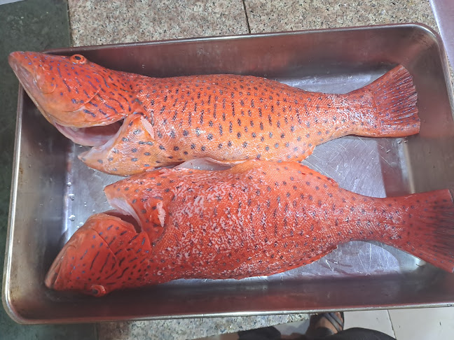 مطعم نواجل البحار للمأكولات البحرية nazill fish restaurant - مستورة