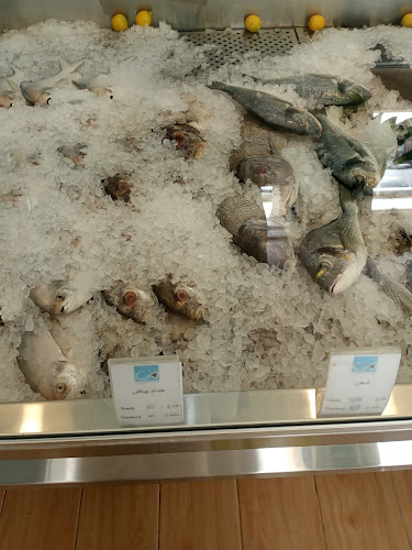 سمكيات فرع الخرج