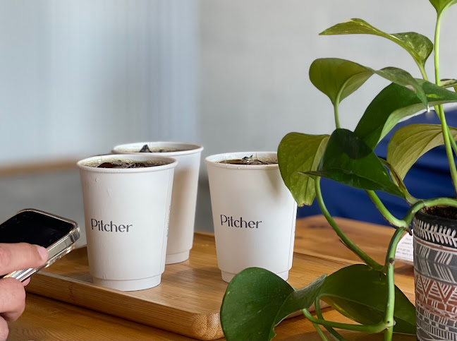 مقهى بيتشر | pitcher cafe - الضيافة