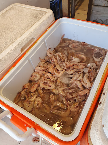 عالم البحار للاسماك الطازجة - الخبر