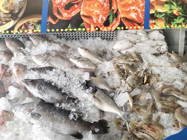 Opinii despre الصيّاد للإسماك în مكة - الضيافة