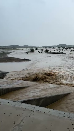 افئده الناس، 8505، الجامعة، 3140 افئدة الناس -حس، جدة 22341