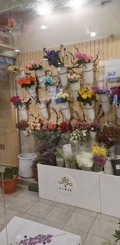 Comentarii opinii despre Pance Gifts online flowers delivery shop