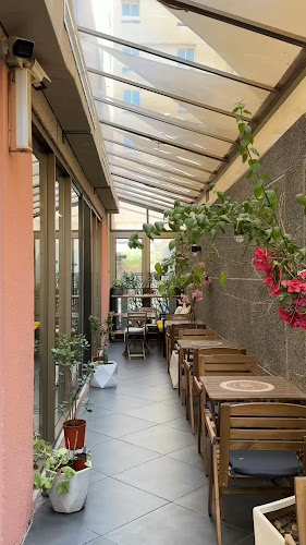 Comentarii opinii despre موماز