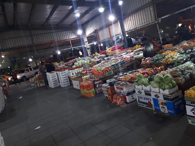 Opinii despre سوق السمك المركزي القطيف în القطيف‎ - الضيافة