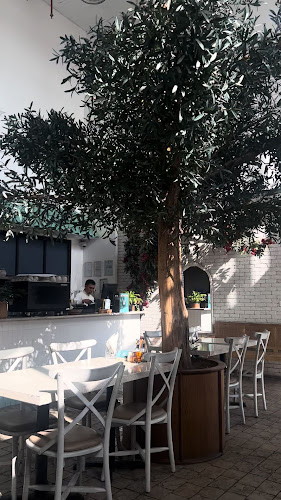 هيلينا بيتزاريا - الخبر