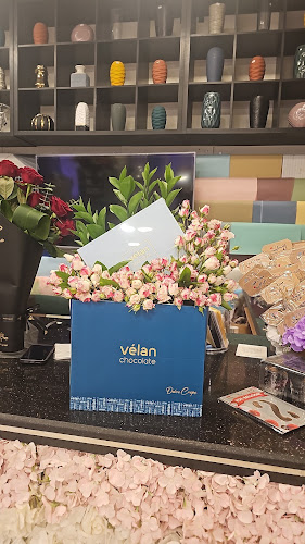 زهير بن ابي سلمى، المصيف، الرياض 12467