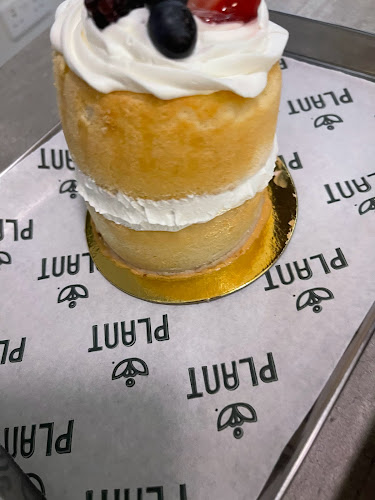 J4QR+4HW، المحمدية، جدة 23621