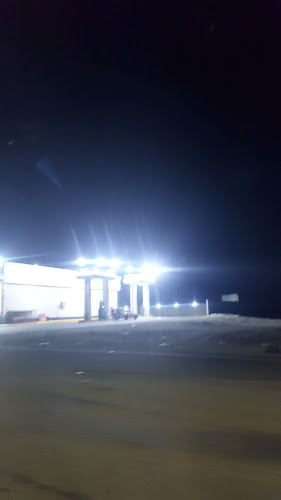 AL LITH - الليث