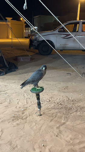 مجالس فراج بن شبيب بن كميخ الصمله