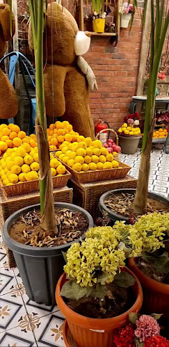 زيتونة باي - الضيافة