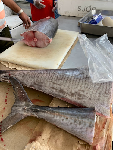 Comentarii opinii despre أسماك الوشم