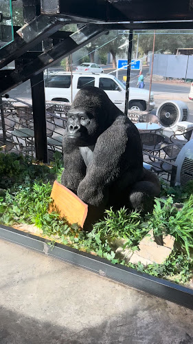 بلاك بوشن - الضيافة