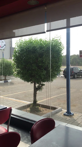 Burger King - Macarona - جدة