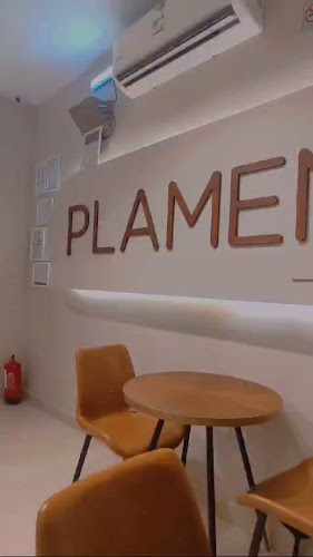 بيتزا بلامن Pizza PLAMEN - المدينة المنورة