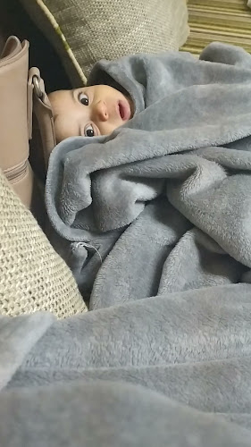 Comentarii opinii despre مذاق الفخار