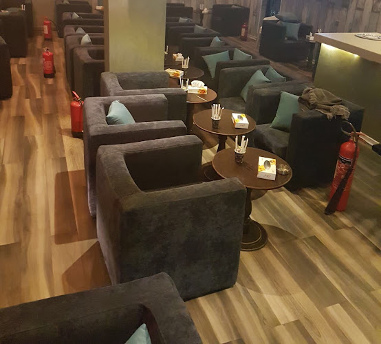 Comentarii opinii despre فله مطعم وكافيه