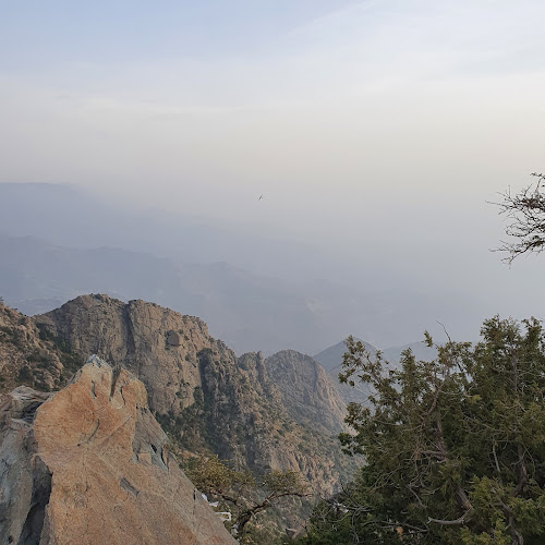 9238، 3265، الربوة، أبها 62523