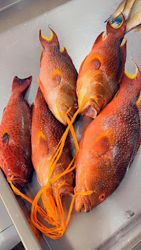 بيت البركة للأسماك - المدينة المنورة