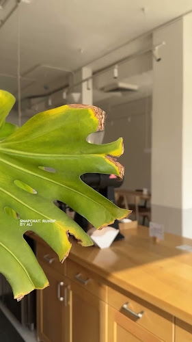 برو كرو - الضيافة