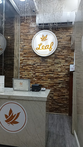 ورق عنب ليف ( Leaf ) - الباحة